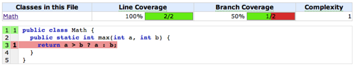 Example 4 - 100% Line Coverage. 50% Branch Coverage.
